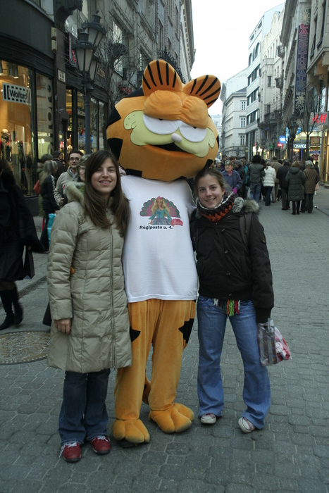 Garfield and friends